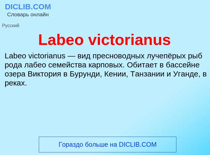 Что такое Labeo victorianus - определение