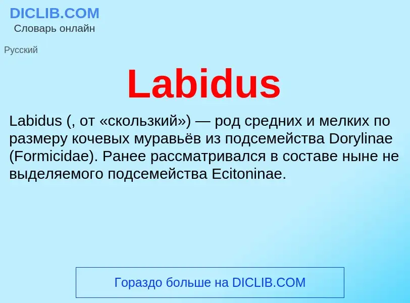 Что такое Labidus - определение