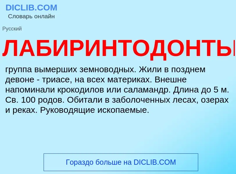 Wat is ЛАБИРИНТОДОНТЫ - definition