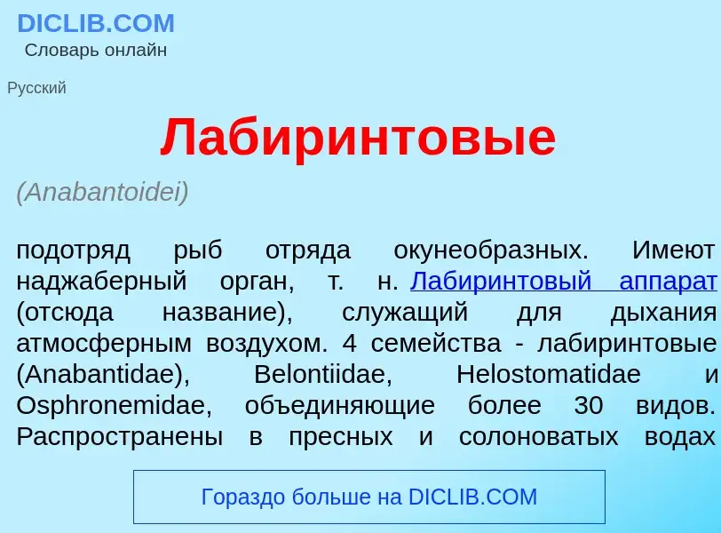 Что такое Лабир<font color="red">и</font>нтовые - определение