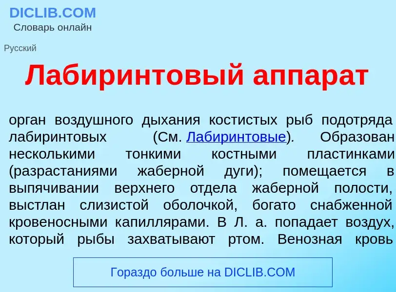 Что такое Лабир<font color="red">и</font>нтовый аппар<font color="red">а</font>т - определение