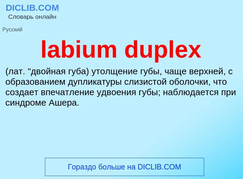 Что такое labium duplex  - определение