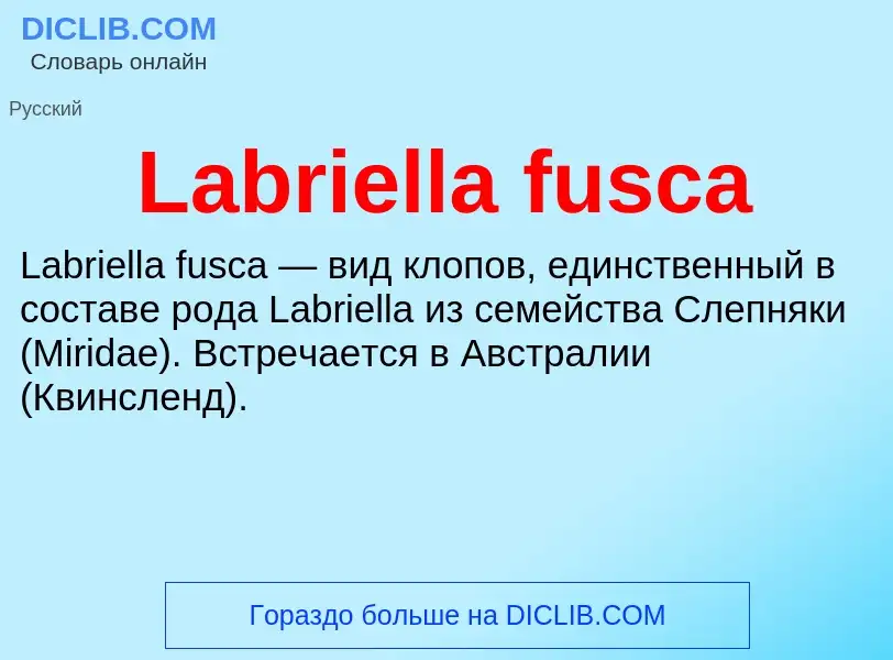 Что такое Labriella fusca - определение