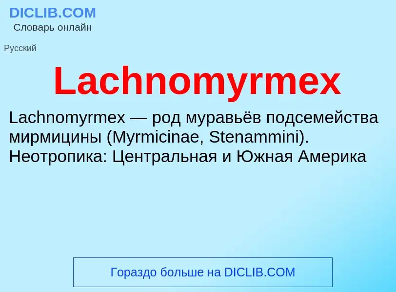 Что такое Lachnomyrmex - определение