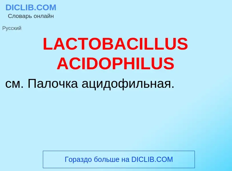 ¿Qué es LACTOBACILLUS ACIDOPHILUS? - significado y definición