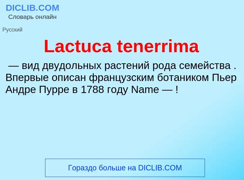 What is Lactuca tenerrima - meaning and definition