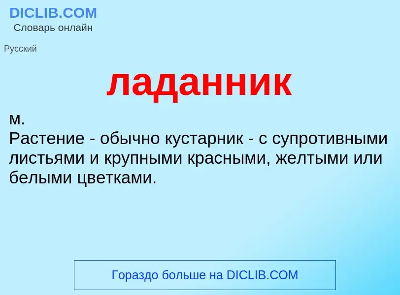 O que é ладанник - definição, significado, conceito