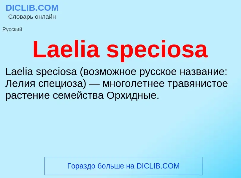 Что такое Laelia speciosa - определение