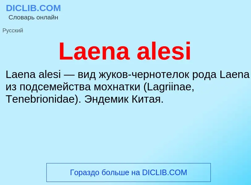 Что такое Laena alesi - определение