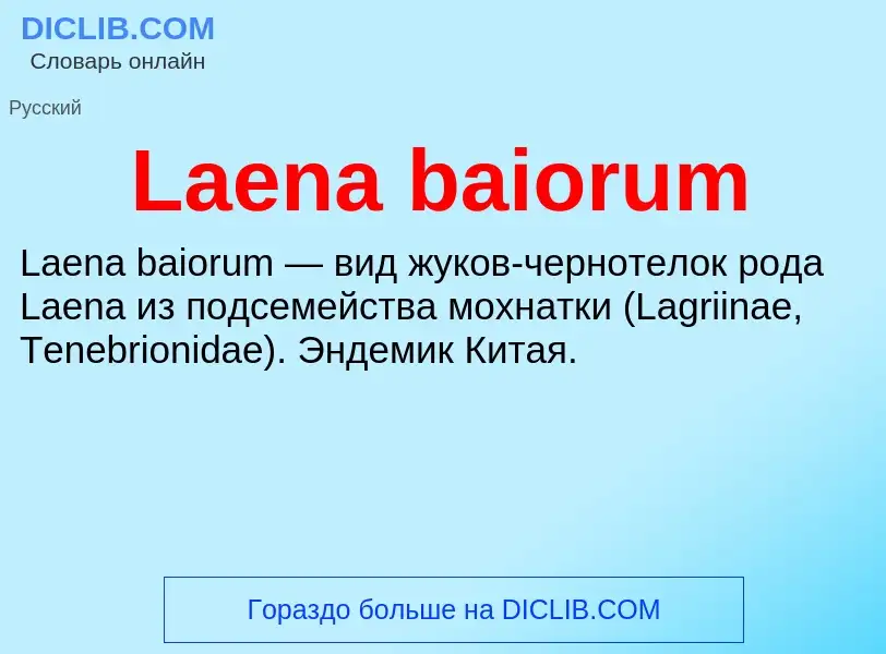 What is Laena baiorum - meaning and definition