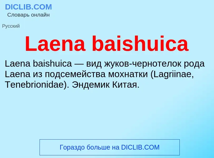 Что такое Laena baishuica - определение