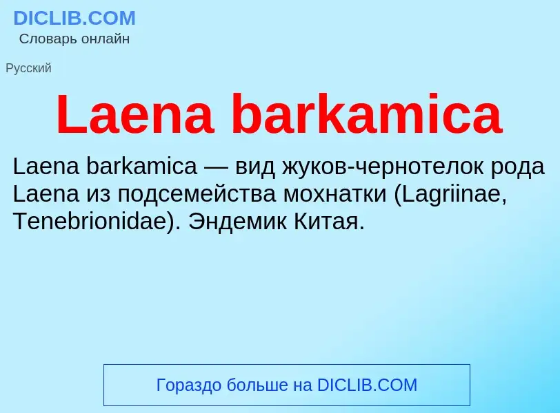 What is Laena barkamica - meaning and definition