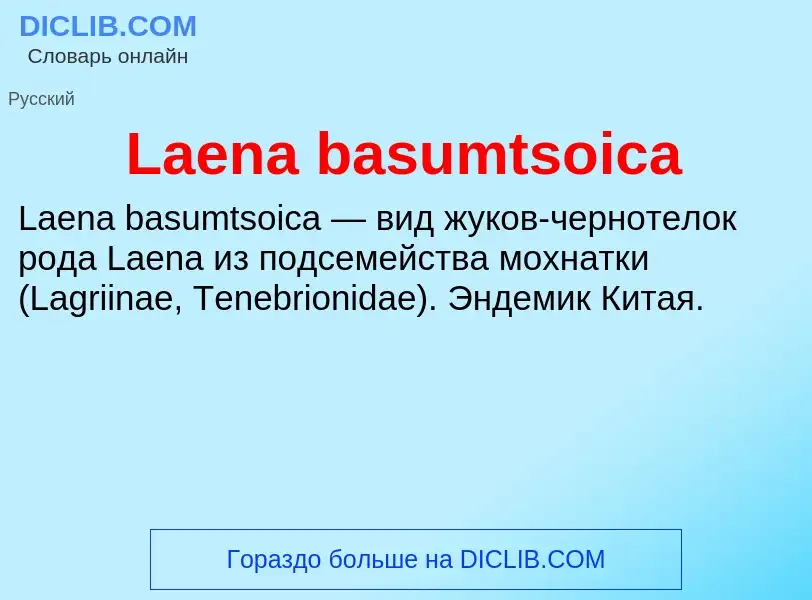 Что такое Laena basumtsoica - определение