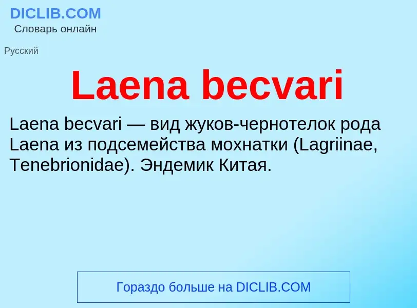 What is Laena becvari - meaning and definition