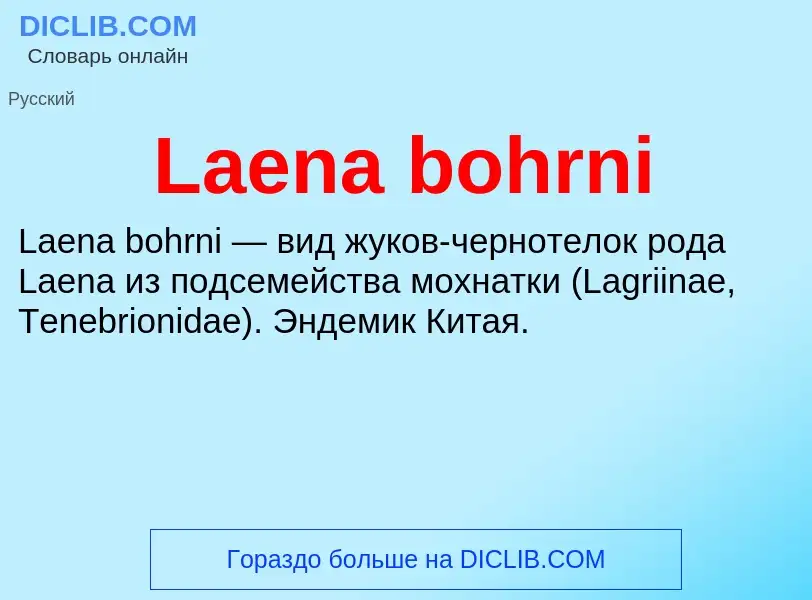 Что такое Laena bohrni - определение