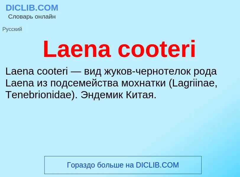 Что такое Laena cooteri - определение