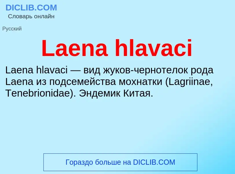 Что такое Laena hlavaci - определение