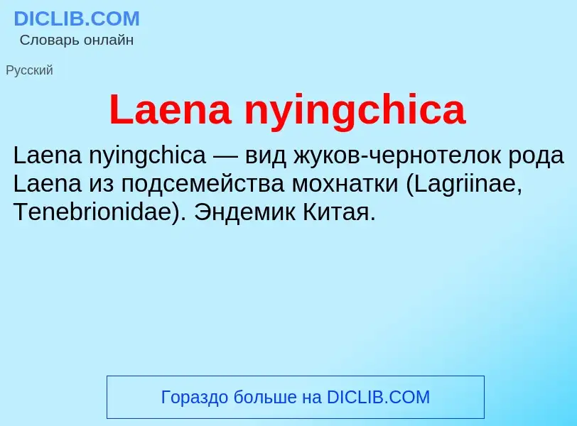 Что такое Laena nyingchica - определение