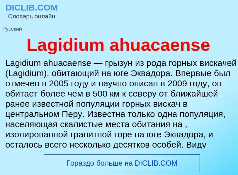 Что такое Lagidium ahuacaense - определение