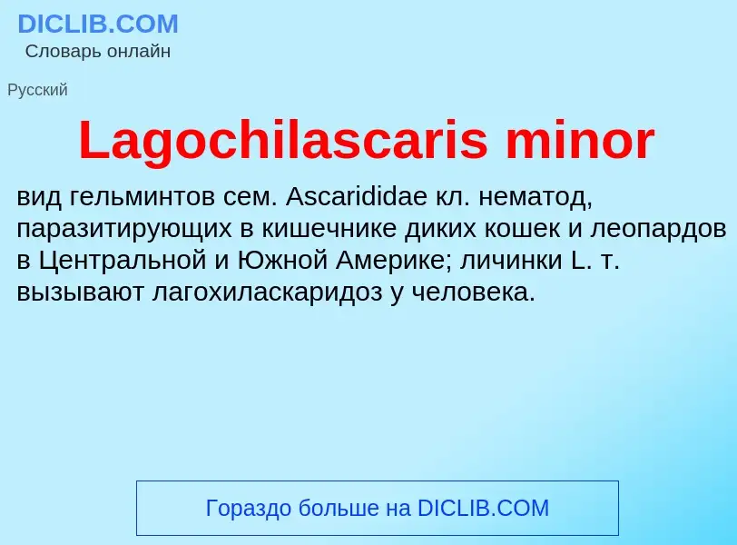 Что такое Lagochilascaris minor - определение