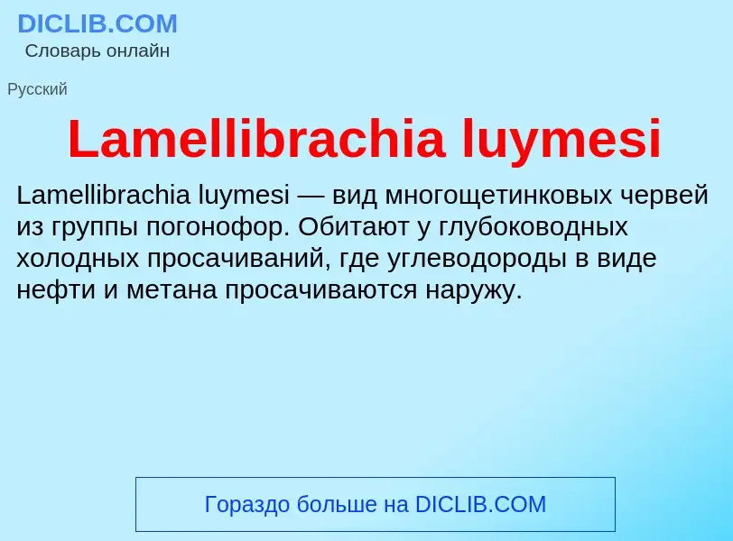 Что такое Lamellibrachia luymesi - определение