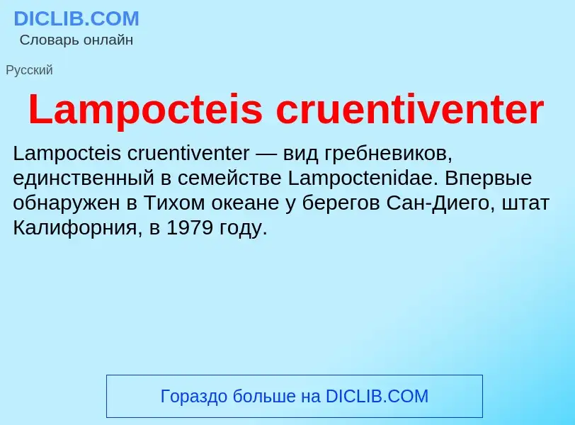 Что такое Lampocteis cruentiventer - определение