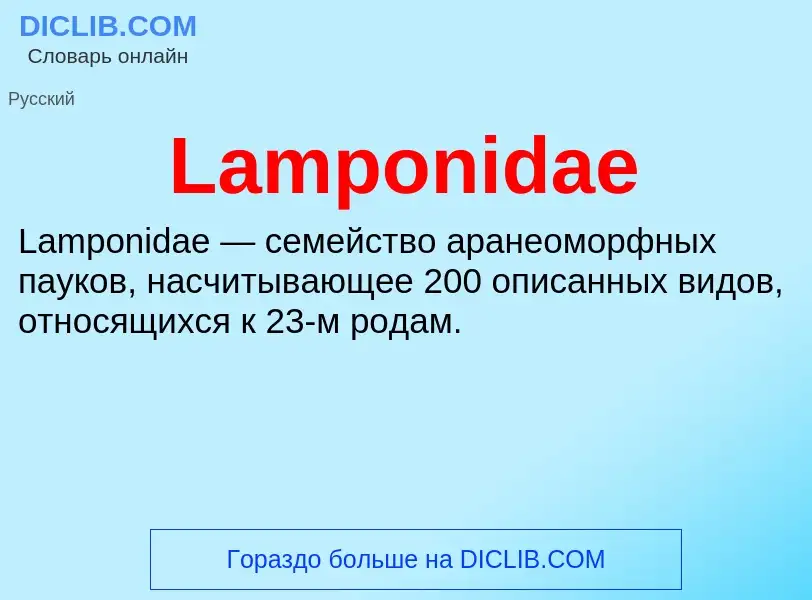 Что такое Lamponidae - определение