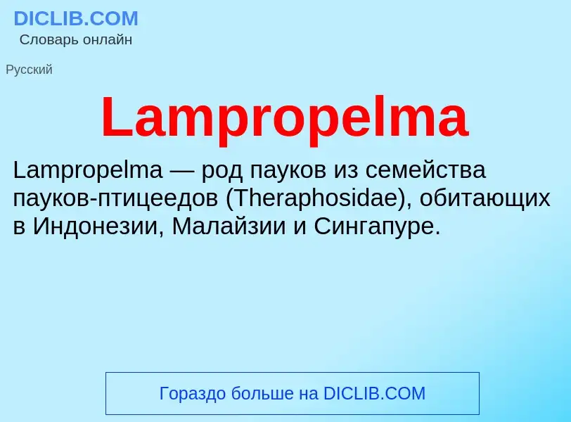 Что такое Lampropelma - определение