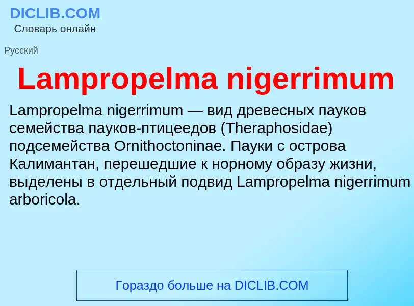 Что такое Lampropelma nigerrimum - определение