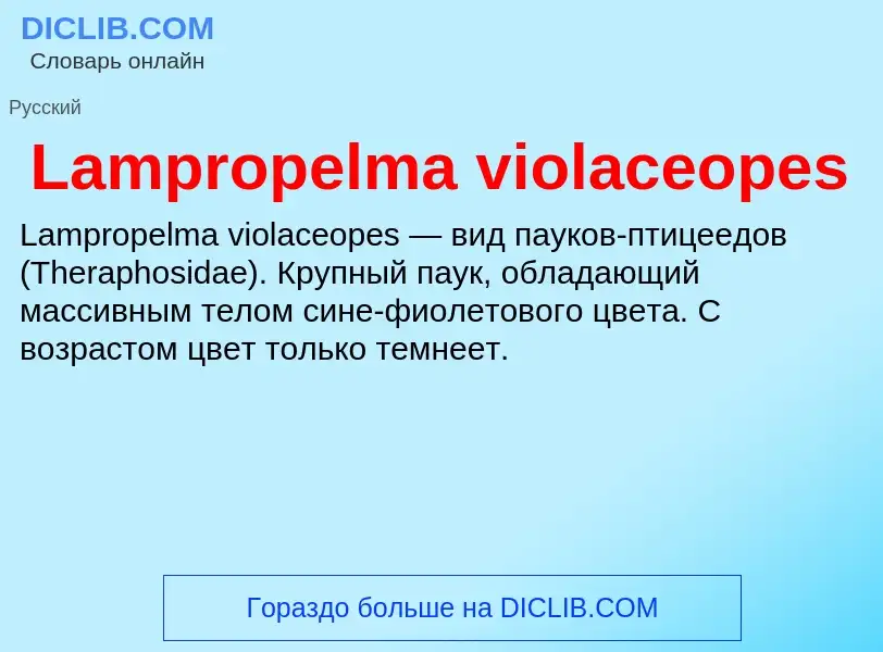 Что такое Lampropelma violaceopes - определение