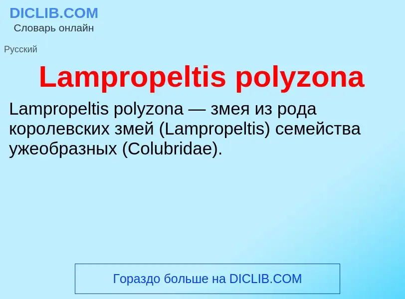 Что такое Lampropeltis polyzona - определение