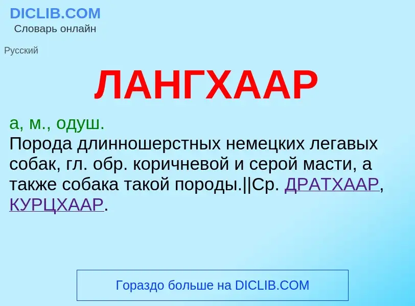 ¿Qué es ЛАНГХААР? - significado y definición