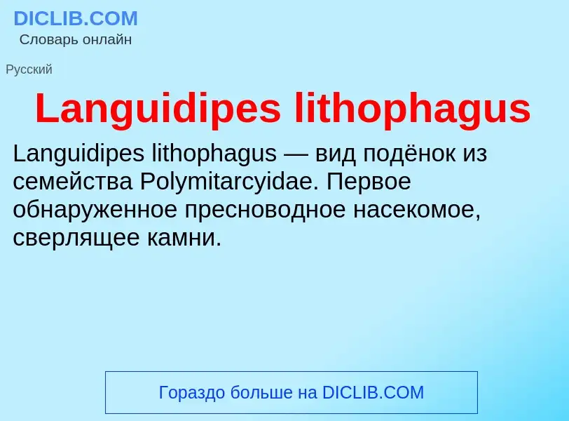 Что такое Languidipes lithophagus - определение