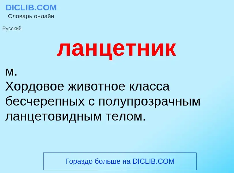 Wat is ланцетник - definition