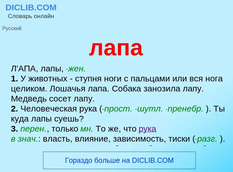 Что такое лапа - определение