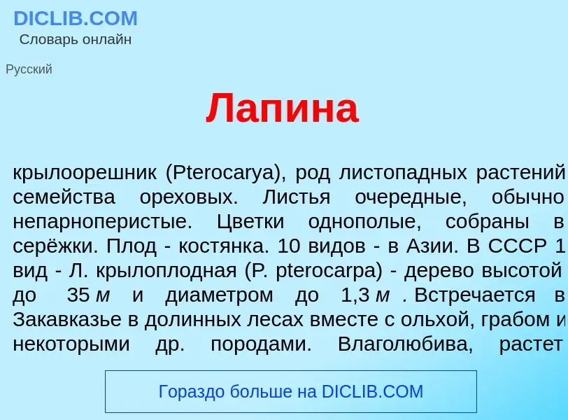 O que é Лап<font color="red">и</font>на - definição, significado, conceito