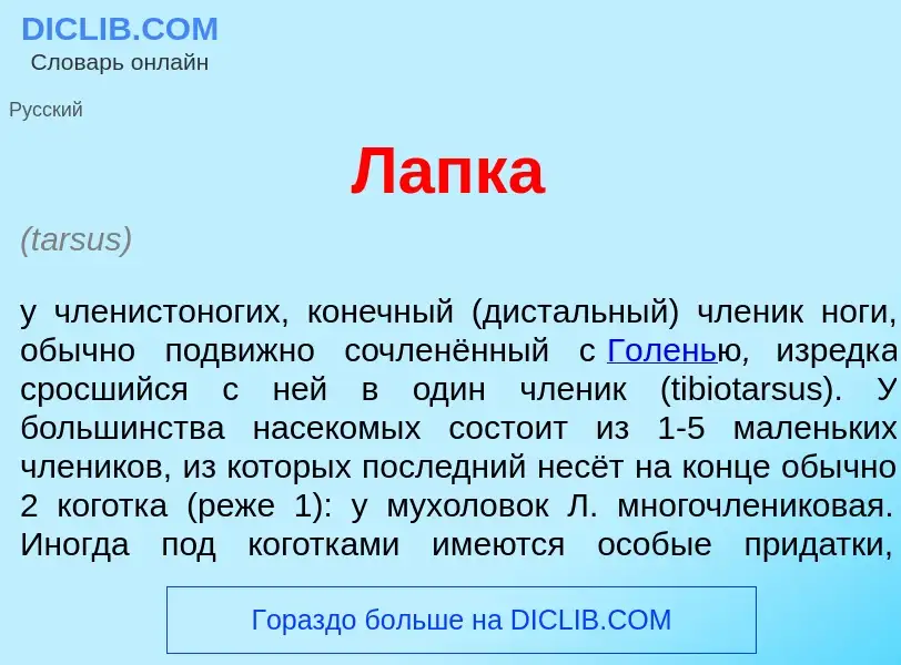 What is Л<font color="red">а</font>пка - meaning and definition