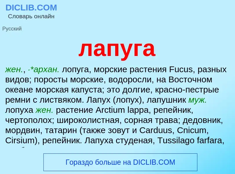 O que é лапуга - definição, significado, conceito