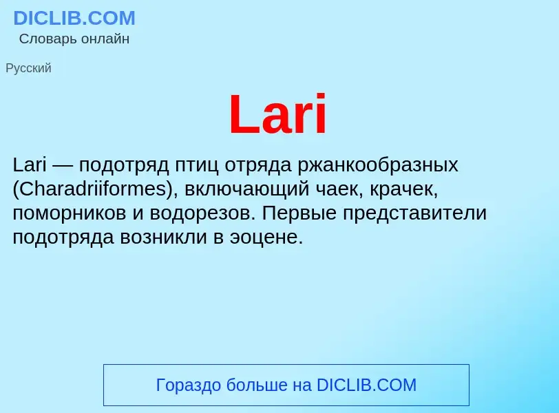 Что такое Lari - определение