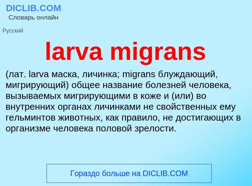 ¿Qué es larva migrans ? - significado y definición