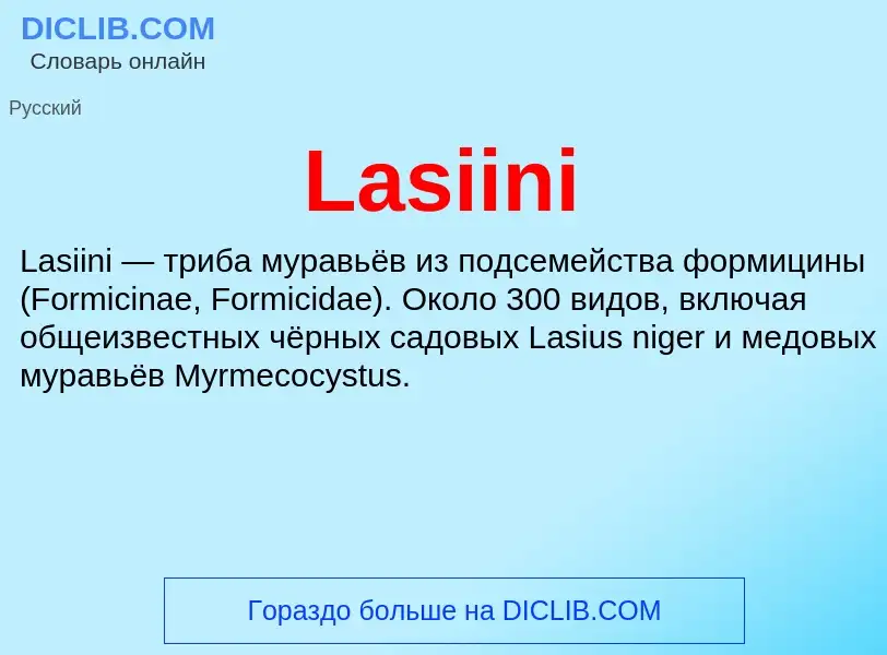 Что такое Lasiini - определение