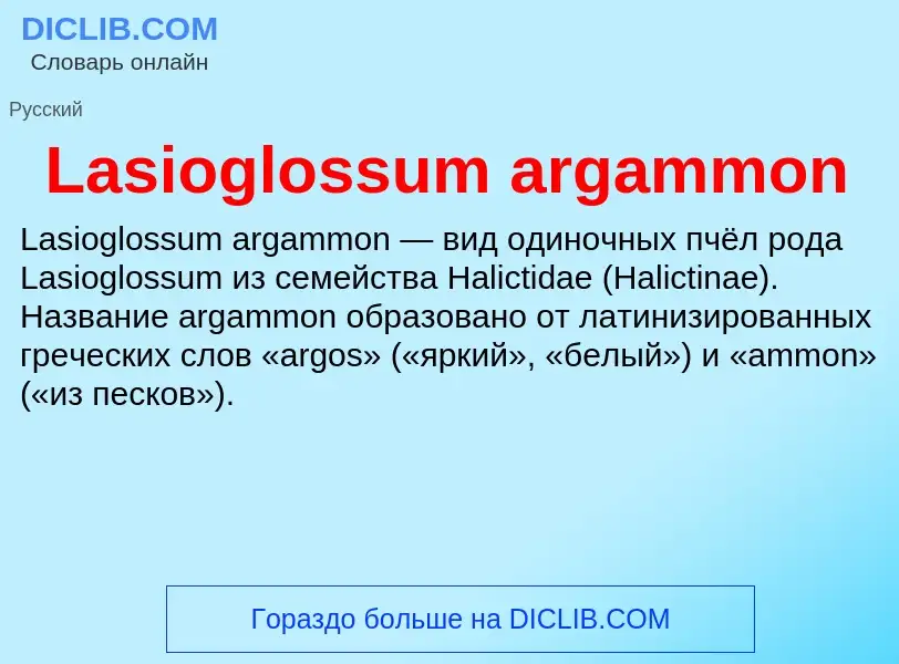 Что такое Lasioglossum argammon - определение