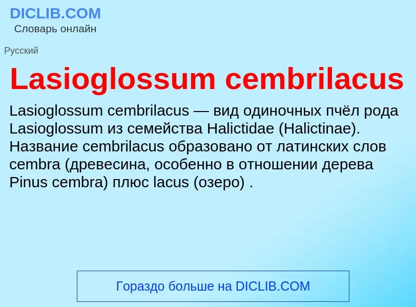 Что такое Lasioglossum cembrilacus - определение