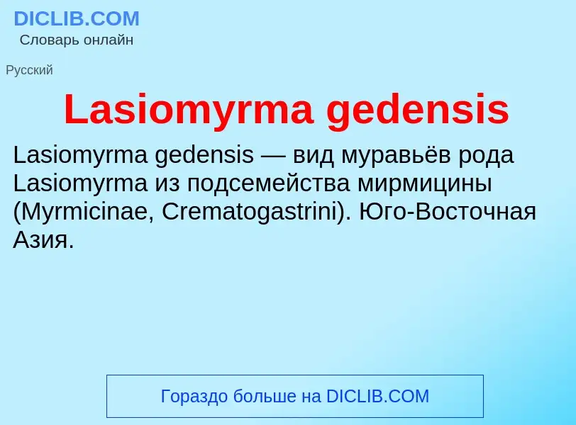 Что такое Lasiomyrma gedensis - определение