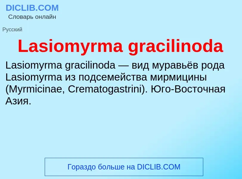 Что такое Lasiomyrma gracilinoda - определение