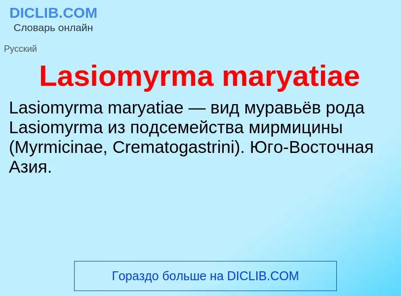 Что такое Lasiomyrma maryatiae - определение