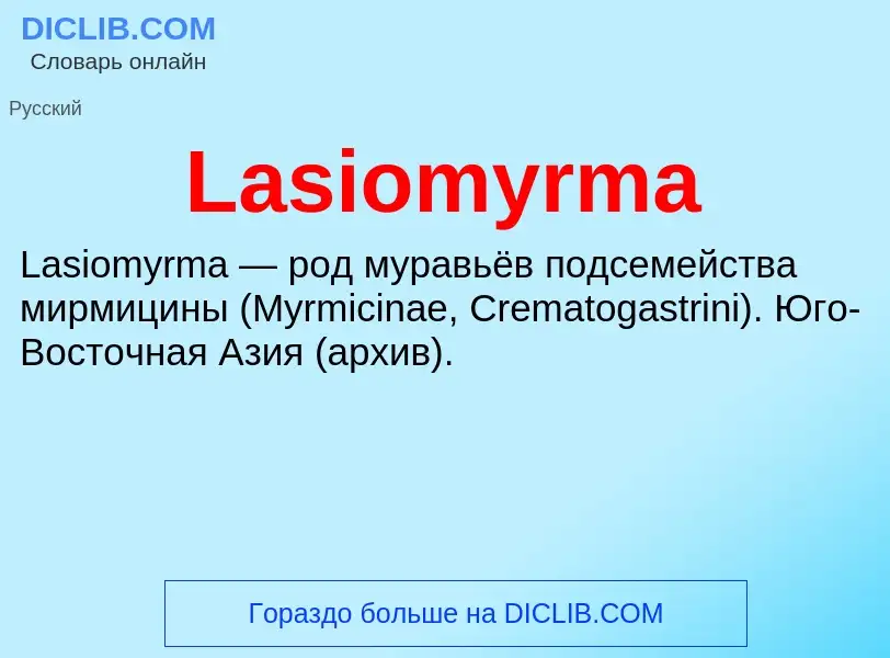 Что такое Lasiomyrma - определение