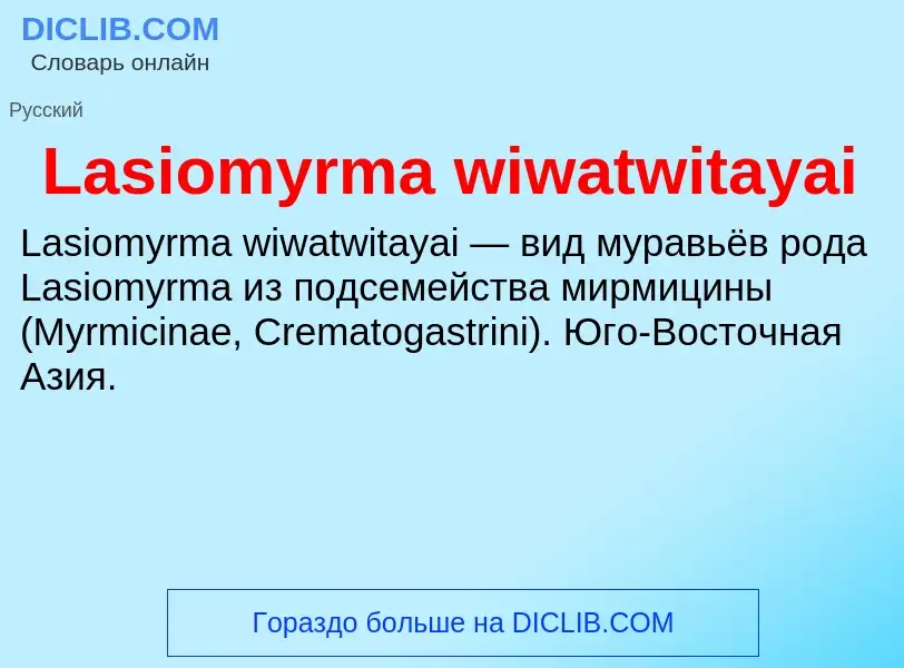 Что такое Lasiomyrma wiwatwitayai - определение