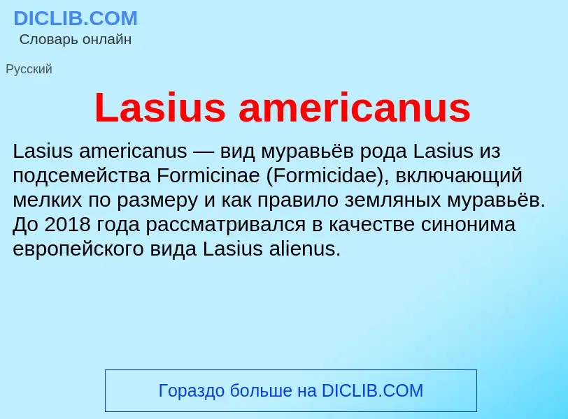 Что такое Lasius americanus - определение