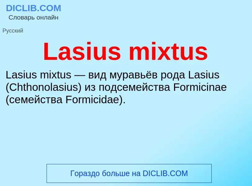 Что такое Lasius mixtus - определение